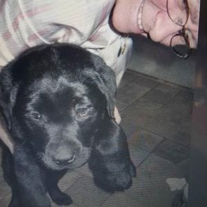 Meet your Posher, Dotty